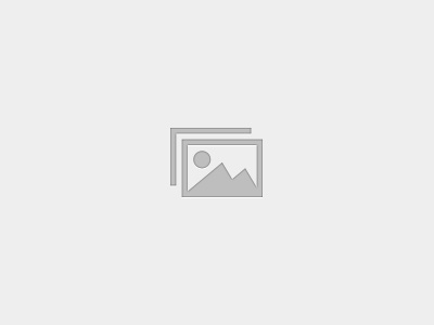 SCHOOL RECORDS MANAGEMENT